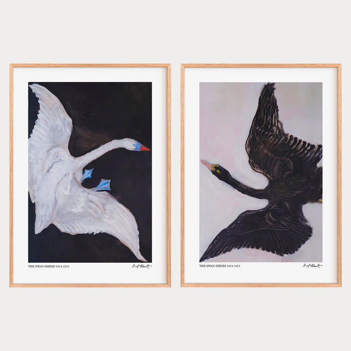 The Swan by Hilma af Klint Poster Set