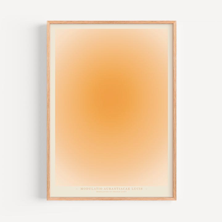 Orange Hue Poster