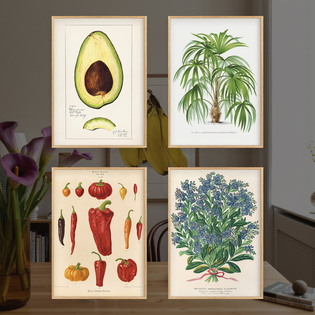 Vintage Botanical Posters