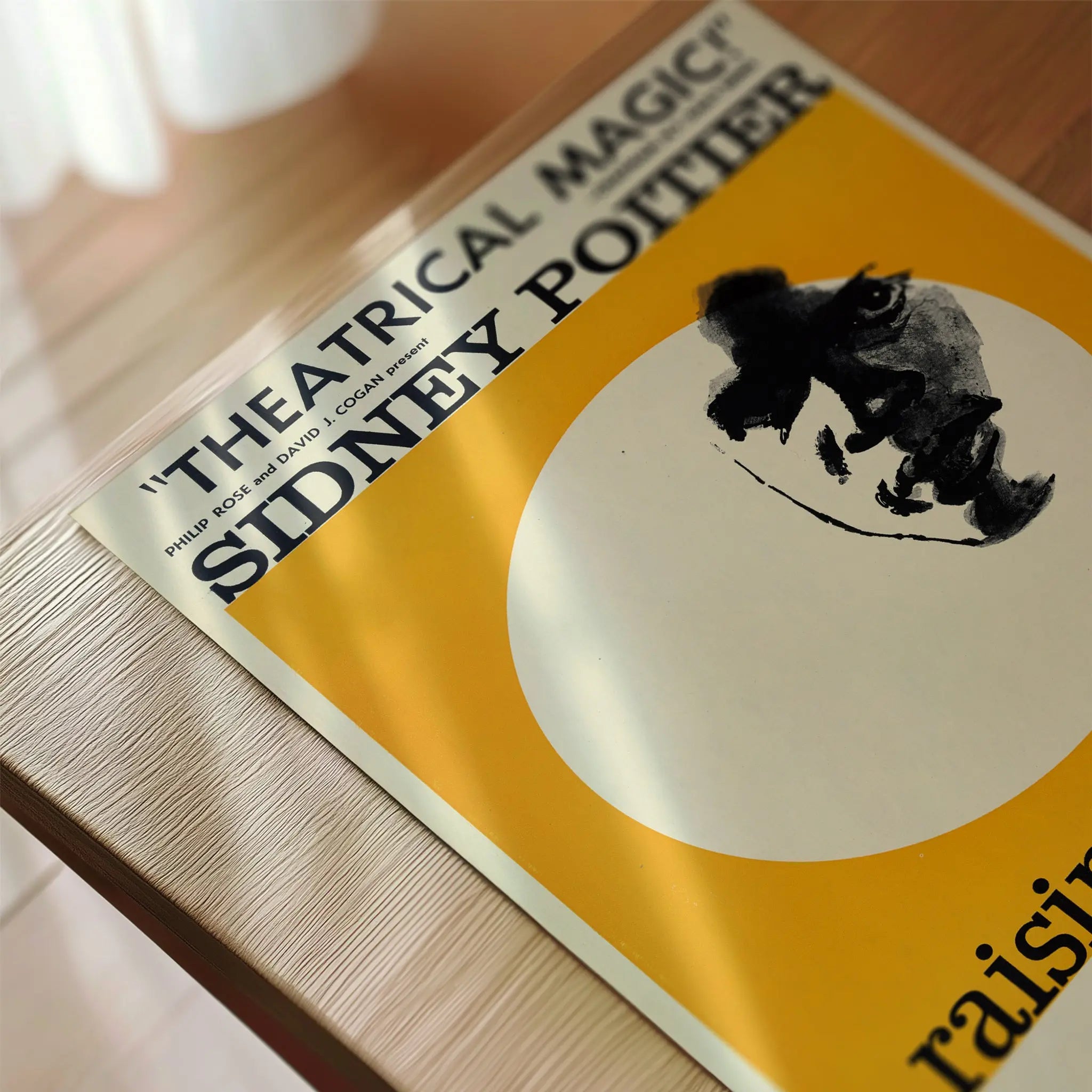 A Raisin in the Sun Playbill Poster - Vintage Broadway - Poster Room