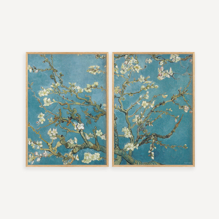 Almond Blossom by Vincent van Gogh Poster Set