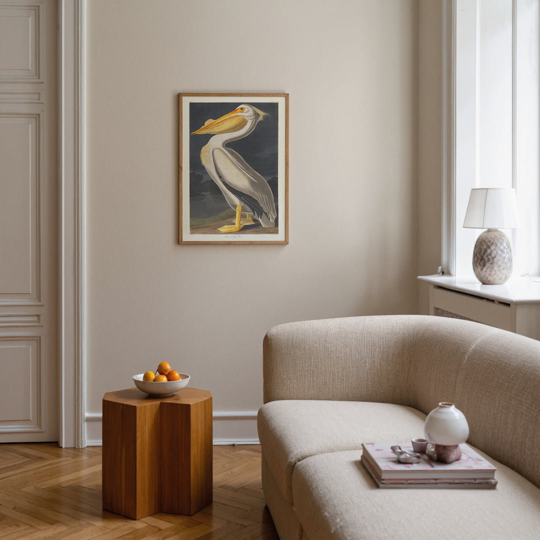 American White Pelican Vintage Poster