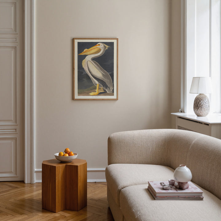 American White Pelican Vintage Poster