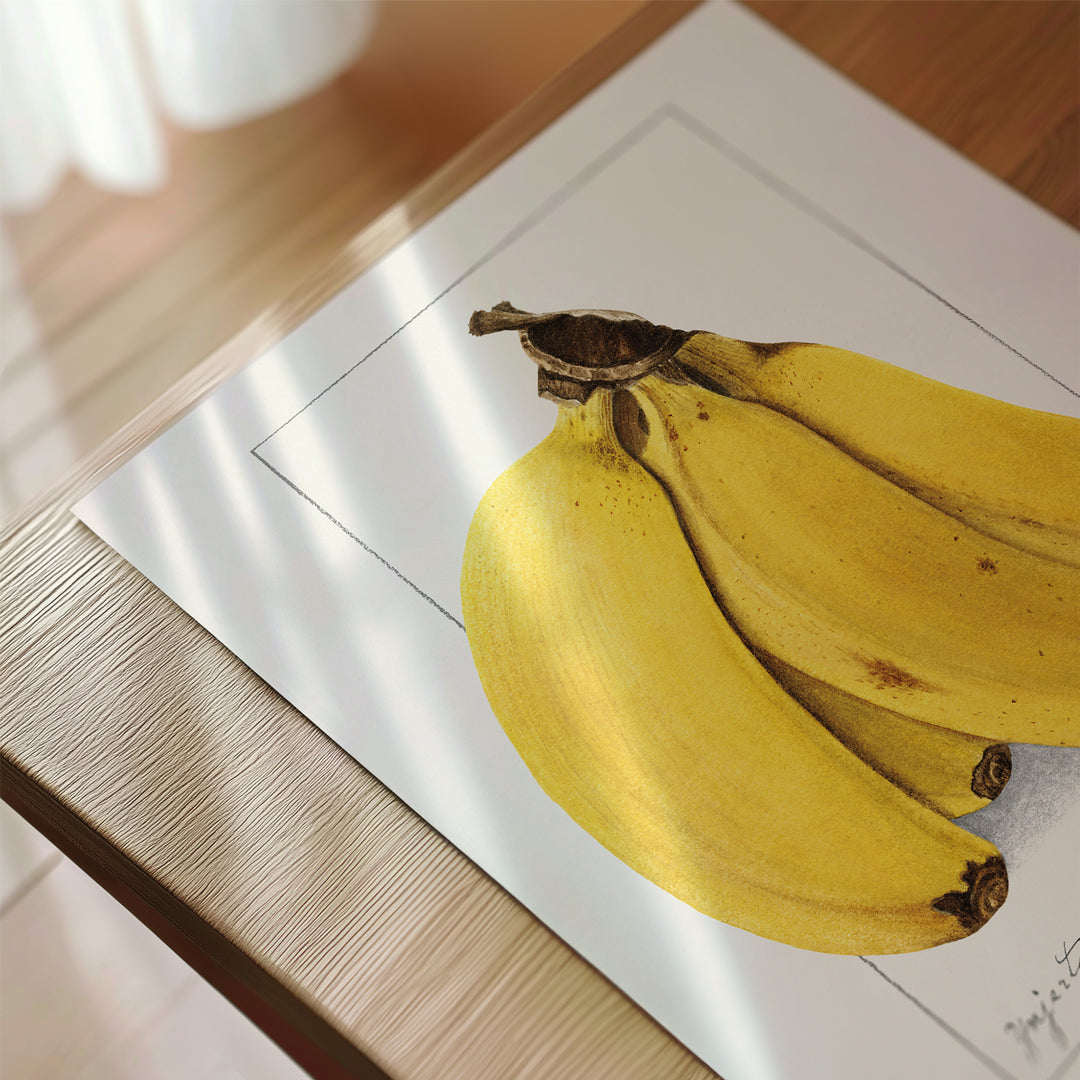 Banana Vintage Poster