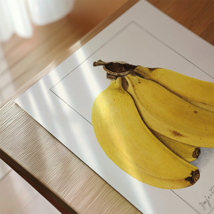Banana Vintage Poster
