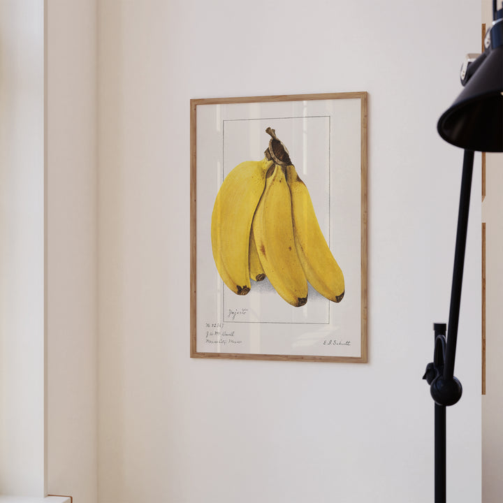 Banana Vintage Poster