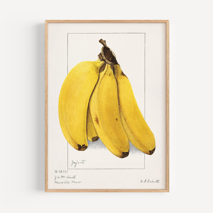 Banana Vintage Poster