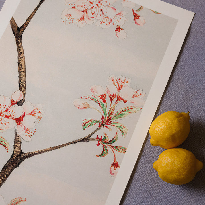 Blossoming Branch No.1 by Megata Morikaga Poster