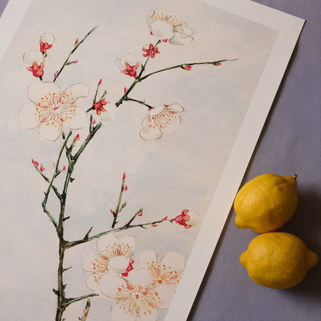 Blossoming Branch No.2 by Megata Morikaga Poster