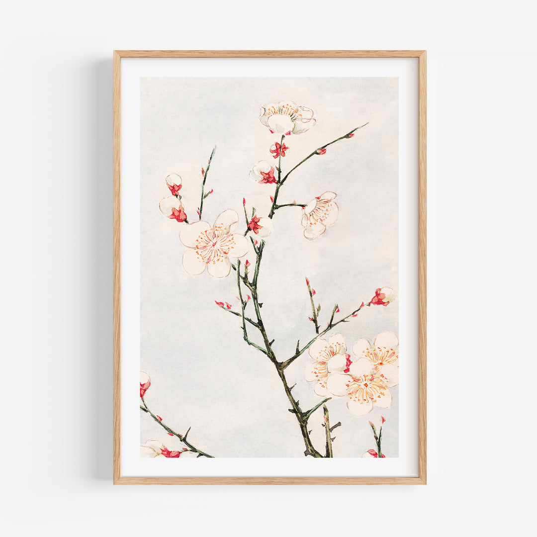 Blossoming Branches by Megata Morikaga Poster Set