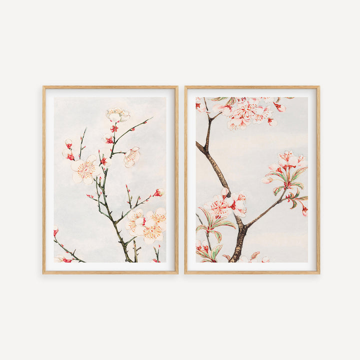 Blossoming Branches by Megata Morikaga Poster Set
