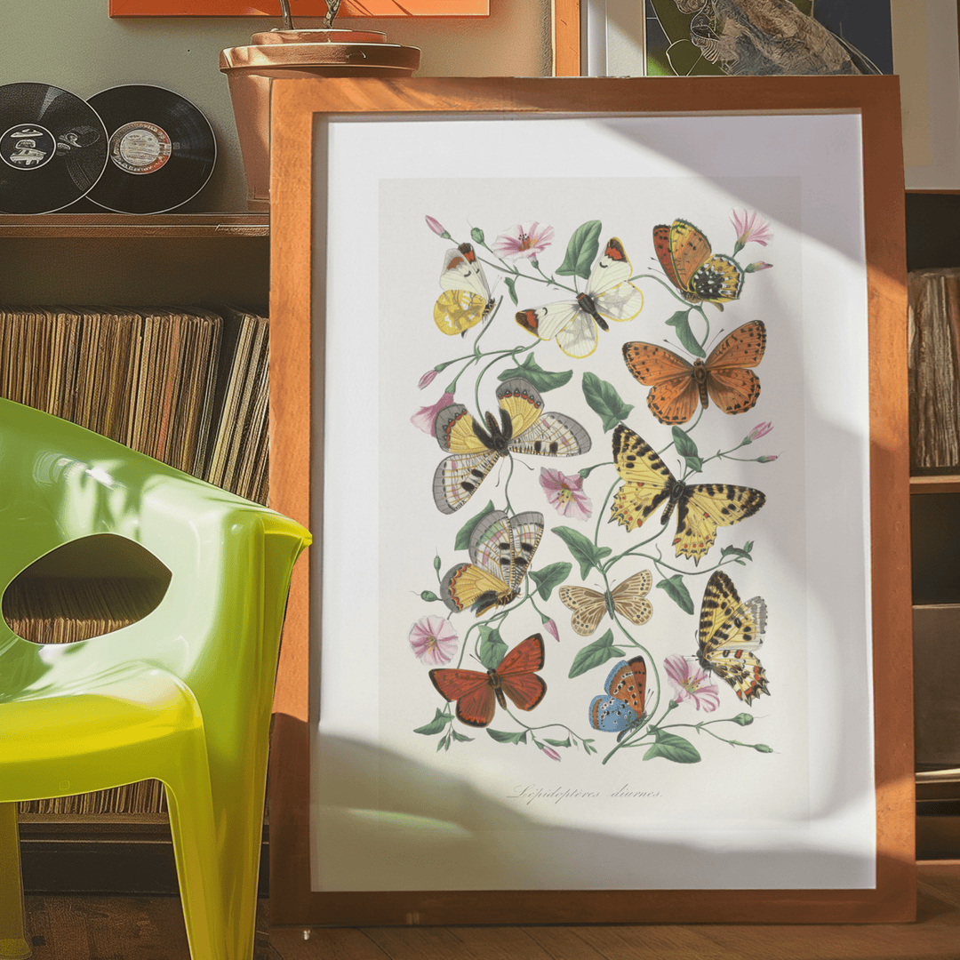 Butterfly Collection Vintage Poster - Poster Room