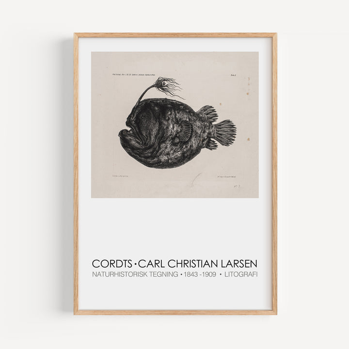Carl Christian Larsen Exhibition Poster