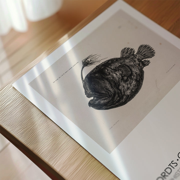 Carl Christian Larsen Exhibition Poster