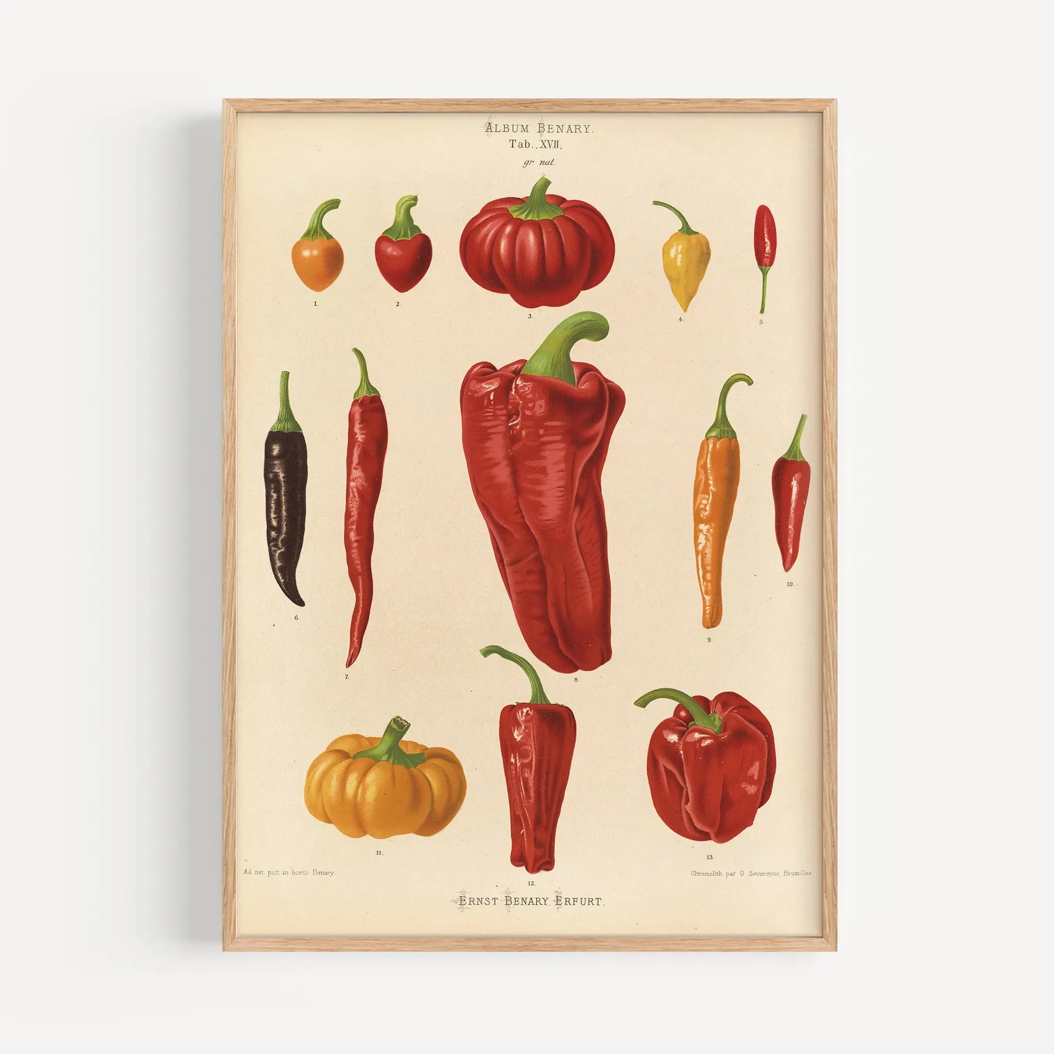 ボリウッド　ヴィンテージ　ポスター　SHAKTI　シャールク　アイシュワリヤ Chili Study Art Vintage Poster – Poster Room