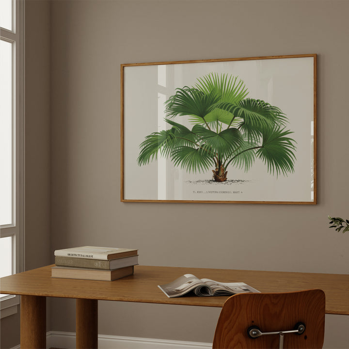 Fountain Palm Vintage Poster