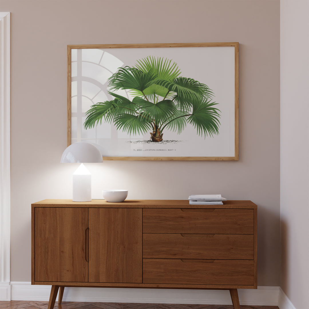 Fountain Palm Vintage Poster