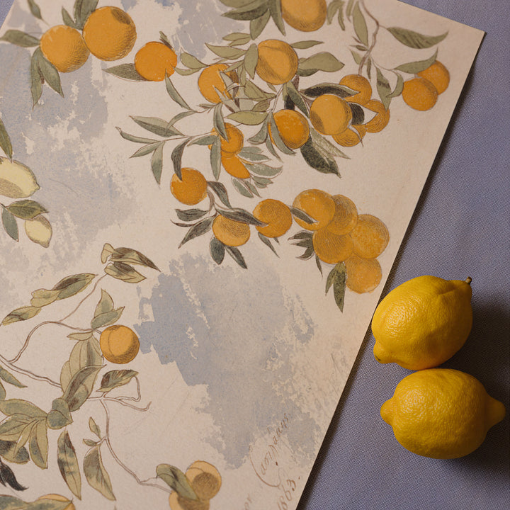 Fruit Trees By Edward Lear Poster