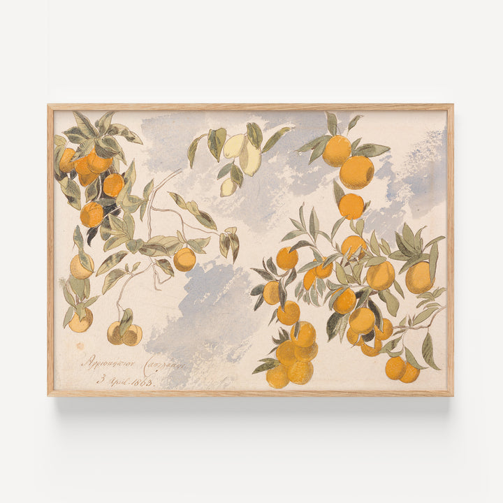 Fruit Trees By Edward Lear Poster