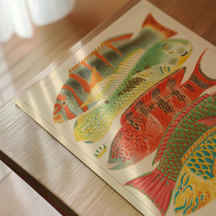 Great Barrier Reef Fishes by William Saville-Kent Poster
