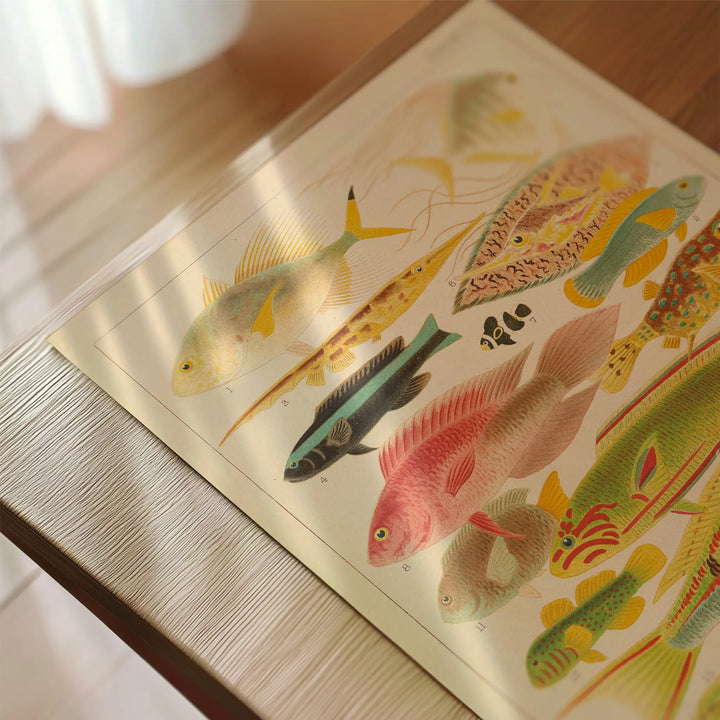 Great Barrier Reef Fishes II by William Saville-Kent Poster featuring vintage style colorful reef fish art print