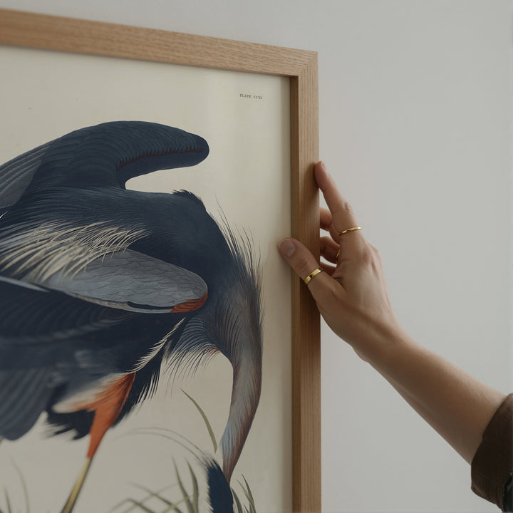 Great Blue Heron Vintage Poster