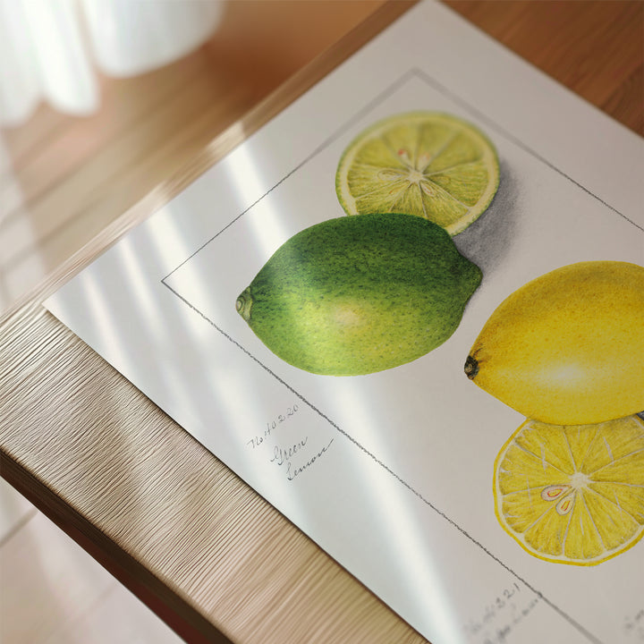 Lemon and Lime Vintage Poster