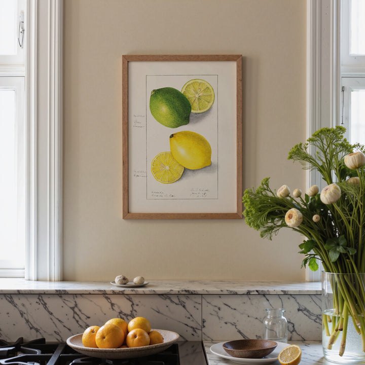 Lemon and Lime Vintage Poster