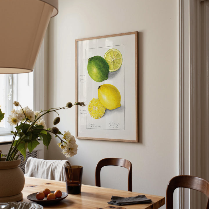 Lemon and Lime Vintage Poster