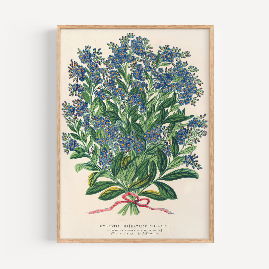 Myosotis Impératrice by Elisabeth Charles Antoine-Lemaire Poster