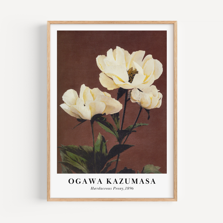 Peony by Ogawa Kazumasa Poster