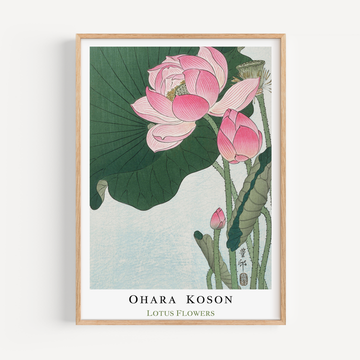 Lotus Flowers by Ohara Koson Poster