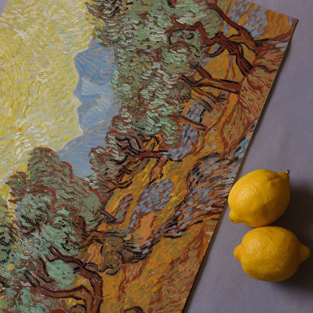 Olive Trees by Vincent van Gogh Poster