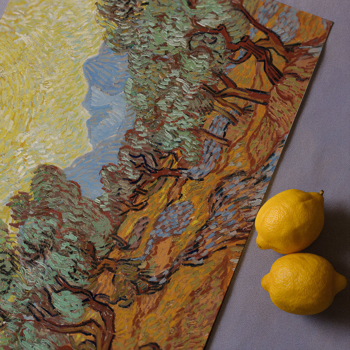 Olive Trees by Vincent van Gogh Poster