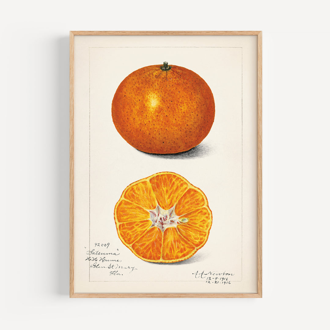 Orange Vintage Poster