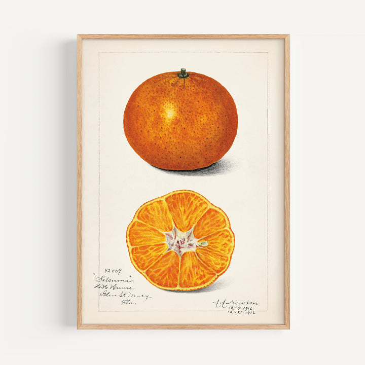 Orange Vintage Poster