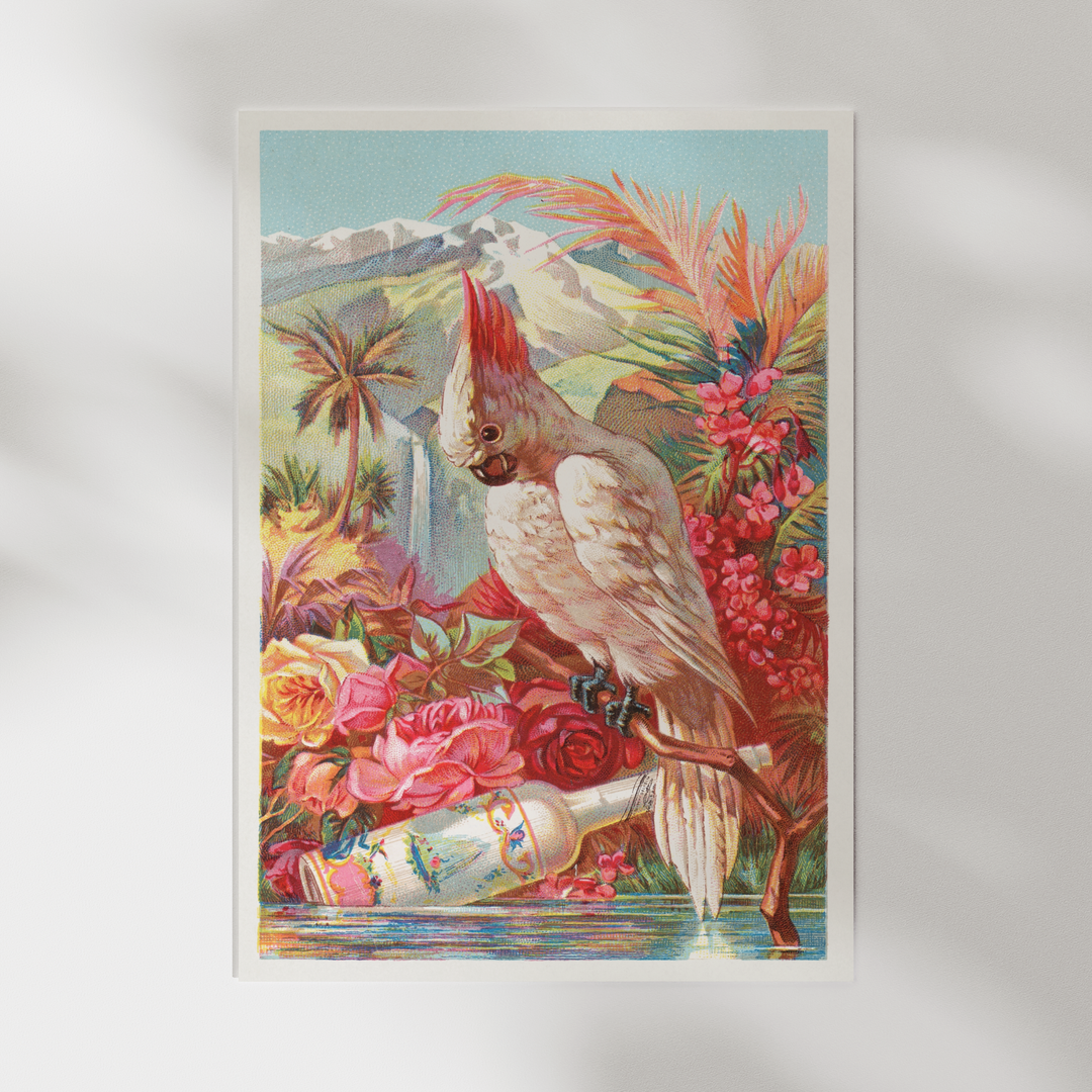 Parrot Vintage Poster