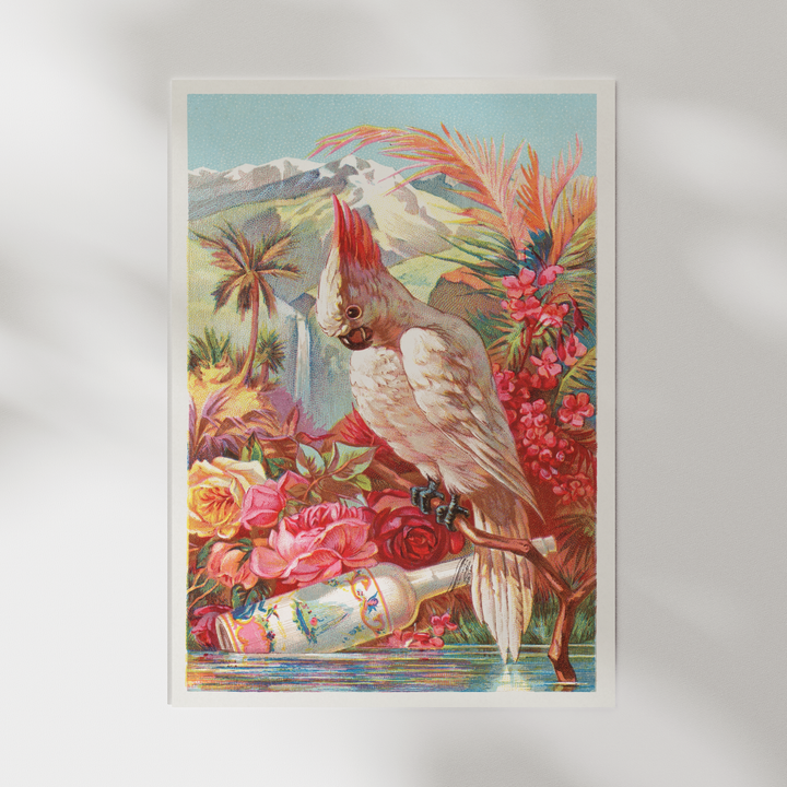 Parrot Vintage Poster