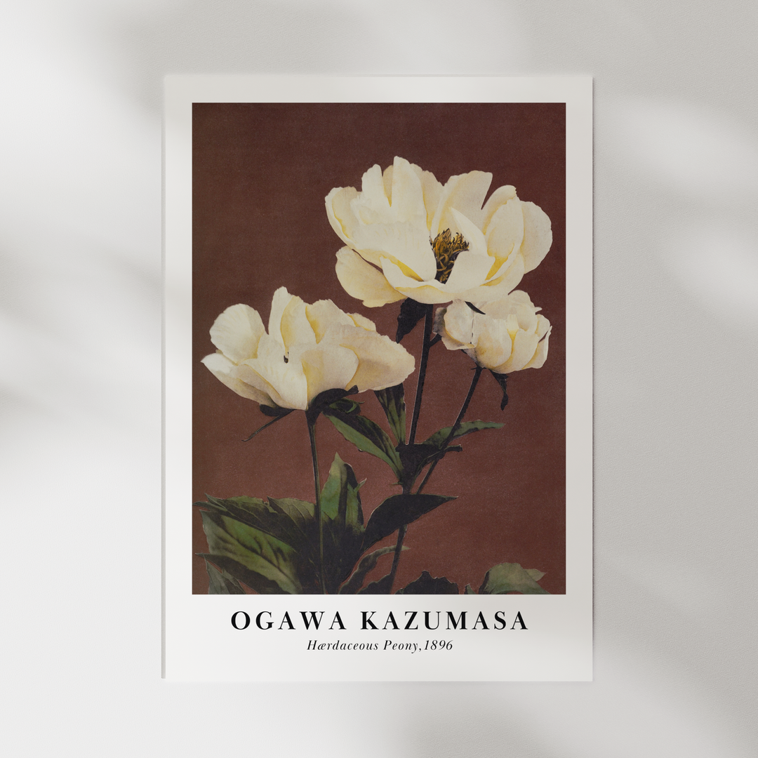 Peony by Ogawa Kazumasa Poster