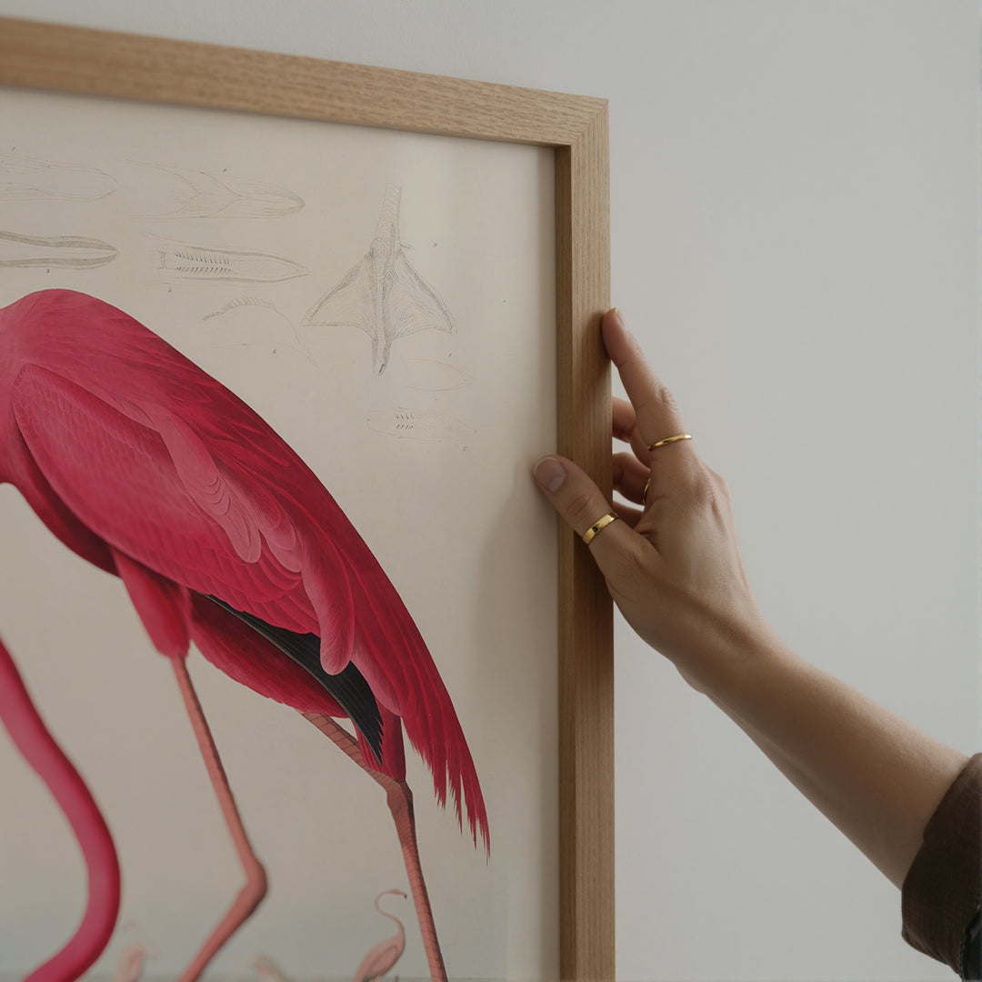 Pink Flamingo Vintage Poster