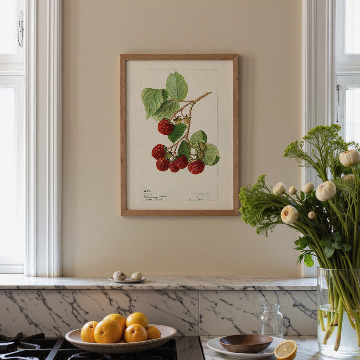 Raspberry Vintage Poster
