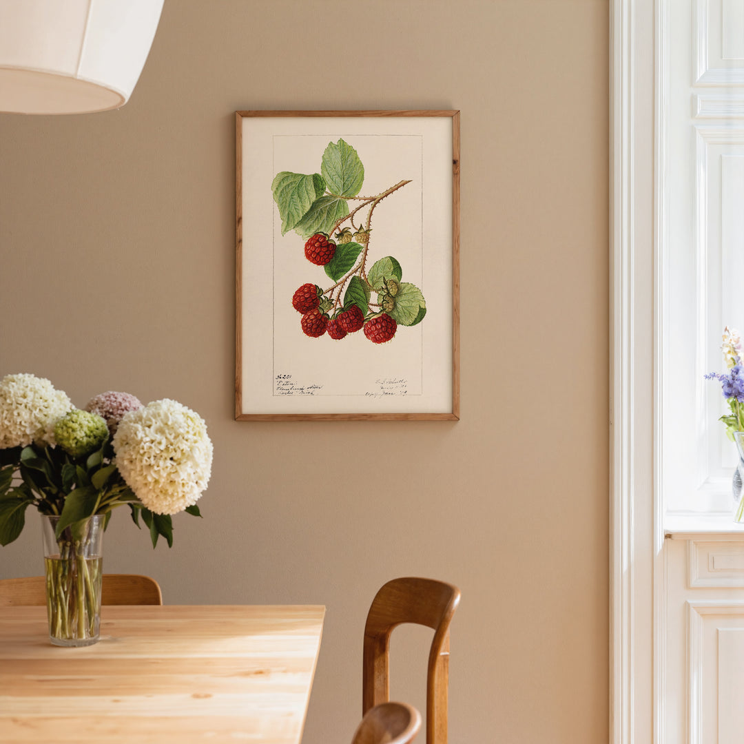 Raspberry Vintage Poster