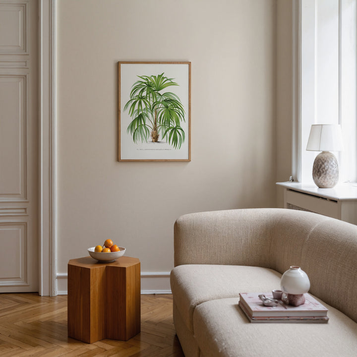 Rootspine Palm Vintage Poster