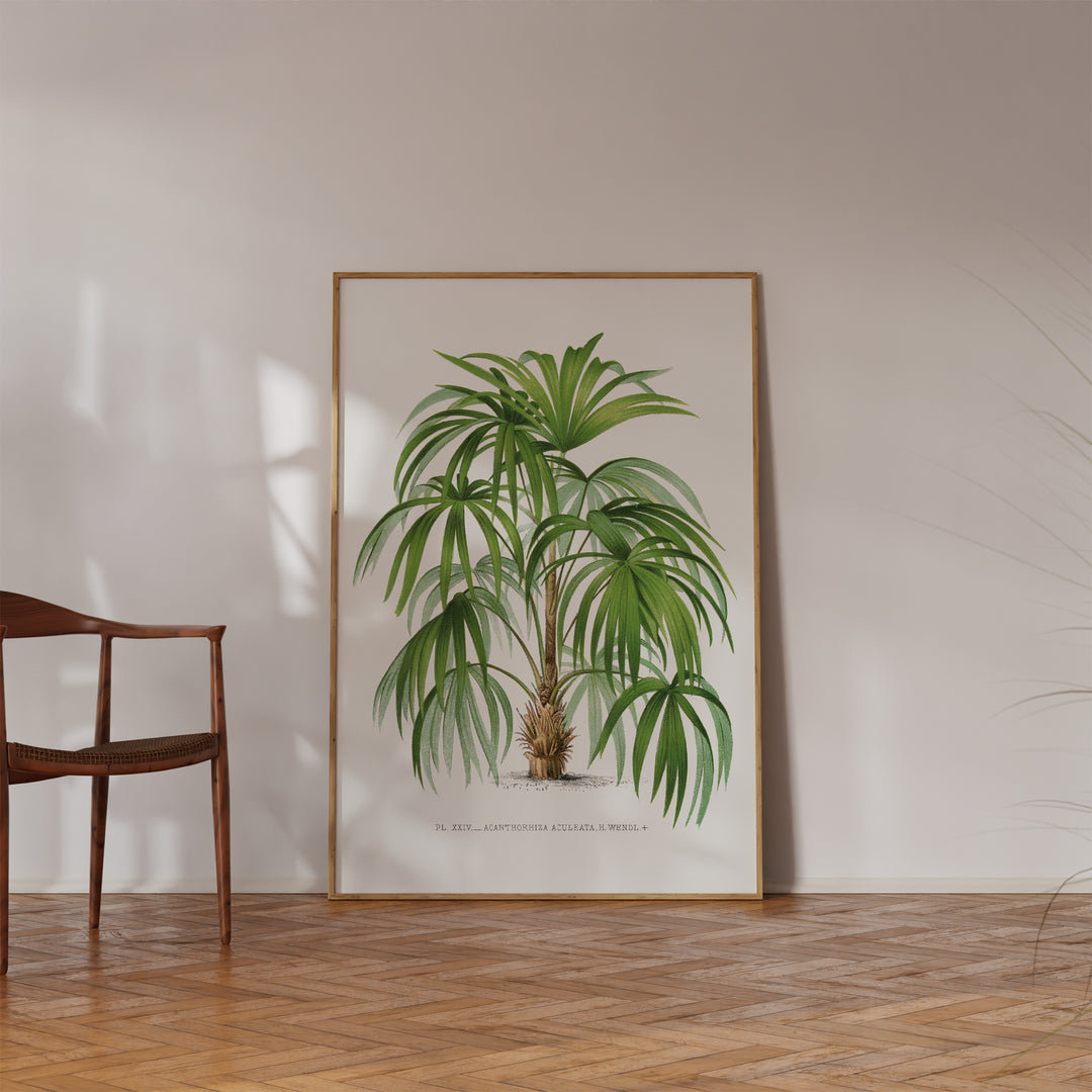 Rootspine Palm Vintage Poster