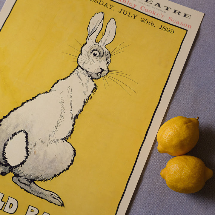 The Wild Rabbit Theatre Poster