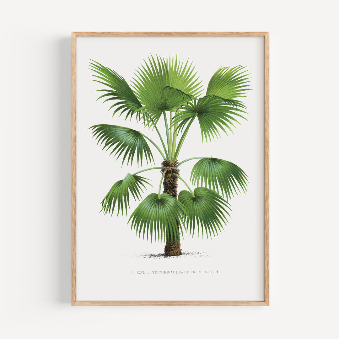 Vintage Botanical Poster Set