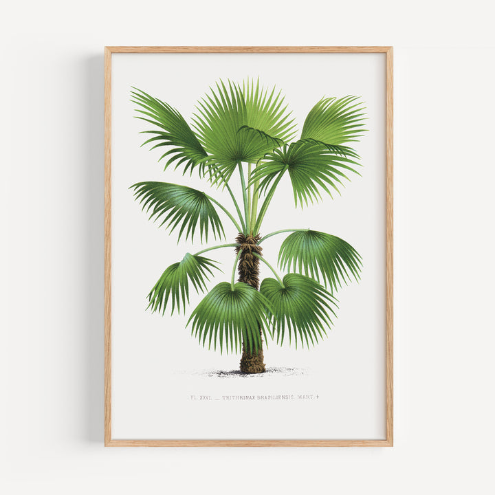 Vintage Botanical Poster Set