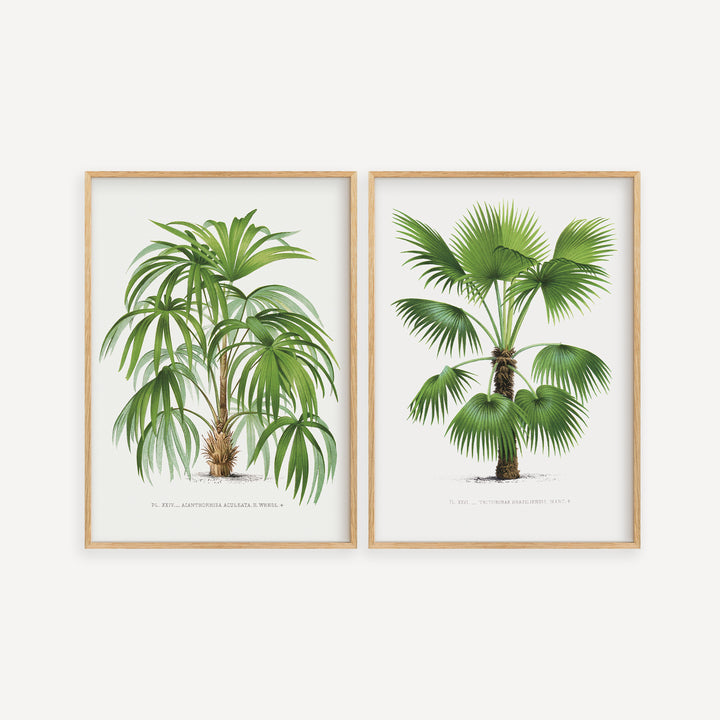 Vintage Botanical Poster Set