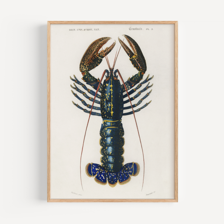 Blue Lobster Vintage Poster
