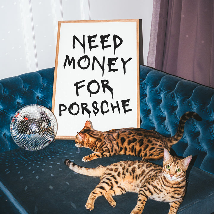 Need Money For Porsche Poster